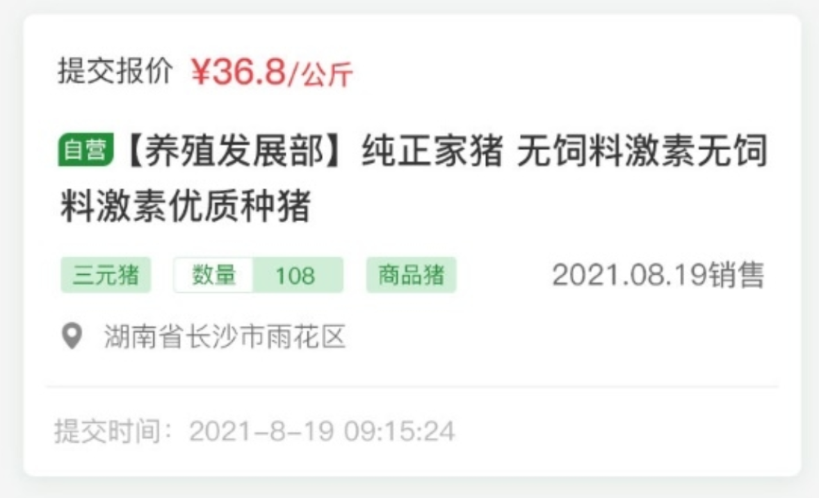 云邁科技生豬競價(jià)系統(tǒng)：開啟生豬交易新時(shí)代?